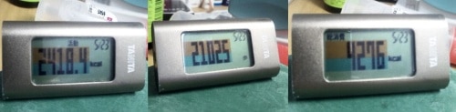 万歩計　20130525