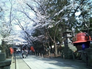 長野県での任意売却－番外編－