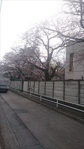 東京都瑞穂町での任意売却による物件調査
